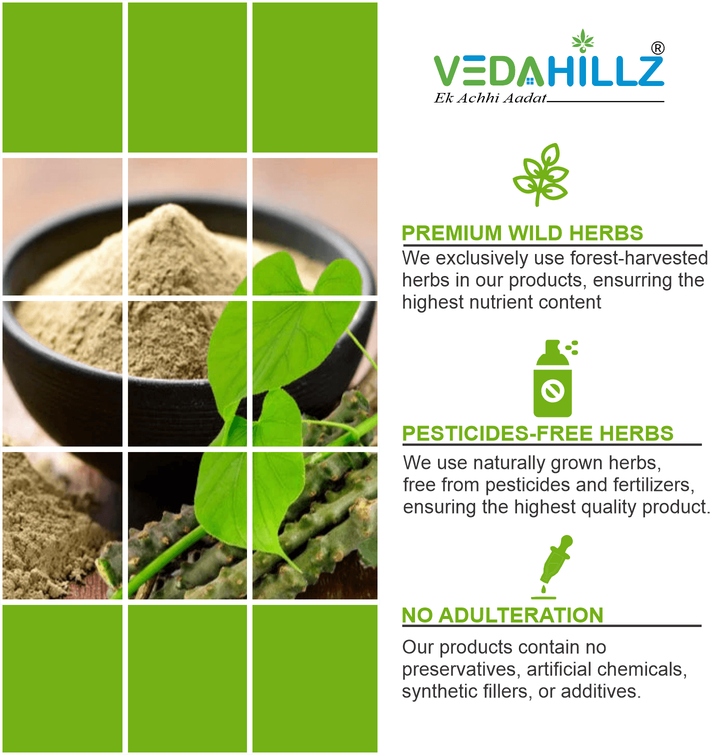 Vedahillz Herbal Giloy Powder Made from Carefully Selected Giloy Stems